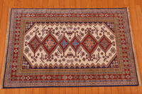 Rug Picture