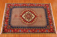 Rug Picture