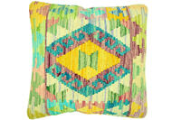 Rug Picture